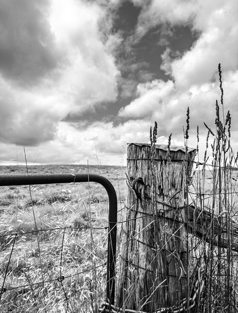 Landscapes