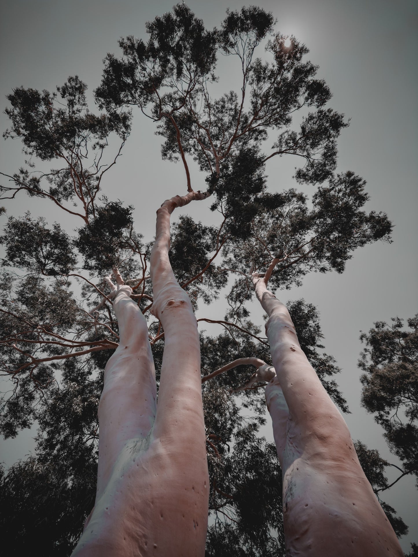 Naked Handstands