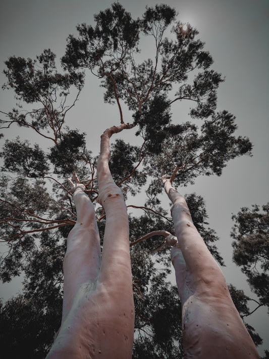 Naked Handstands