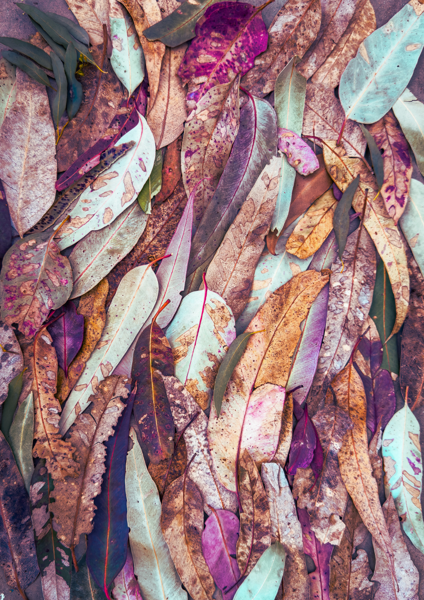 Bush Tapestry