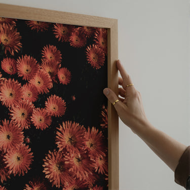 Petal Theory - Limited Edition