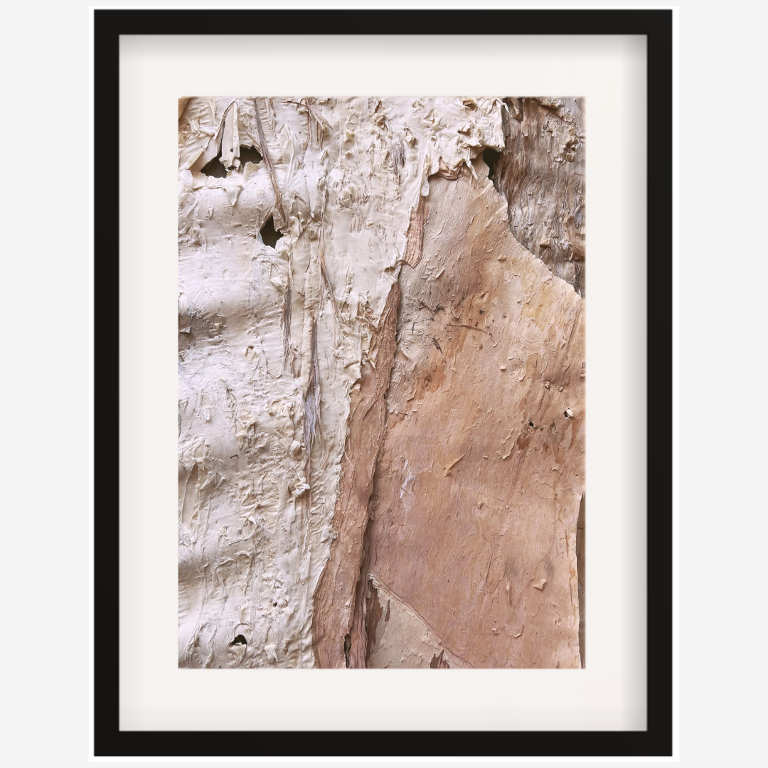 Paperbark Textures