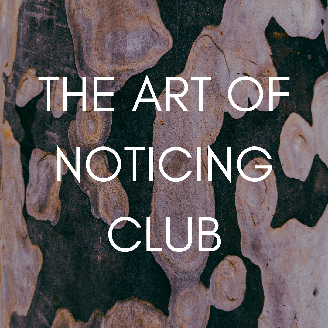 The Art of Noticing Club