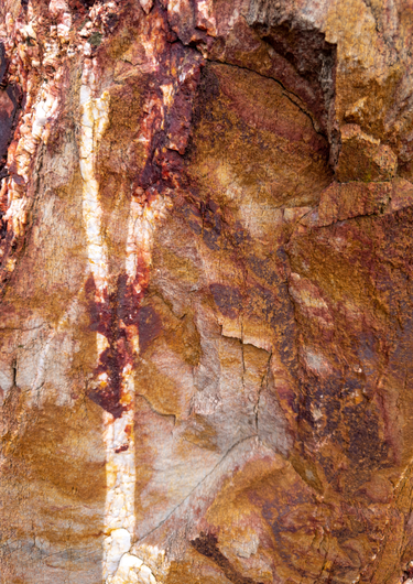 Rośe on the Rocks Australian fine art photography print featuring natural rock textures in warm rust, terracotta, ochre and soft pink tones, with intricate cracks and weathered patterns.