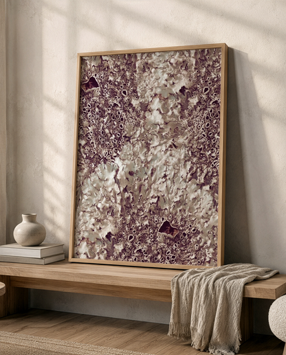 Bronze Lichen