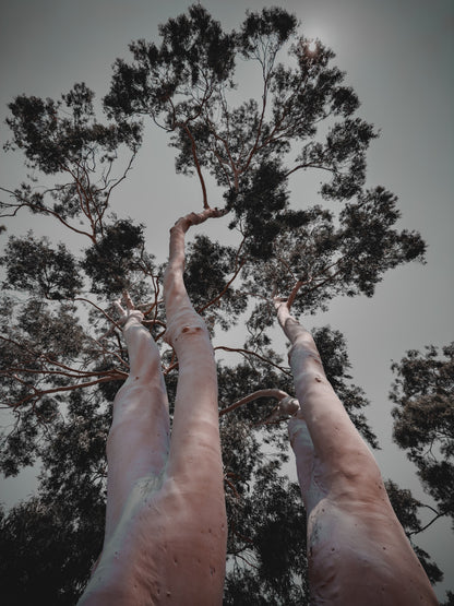 Naked Handstands