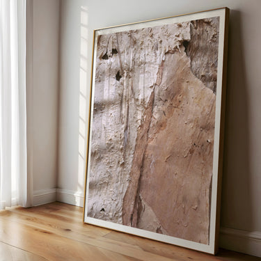 Paperbark Textures