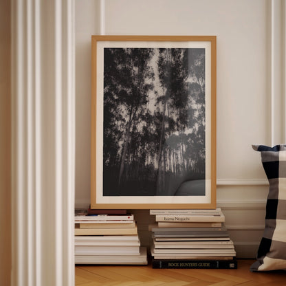 Gum Tree Dreaming