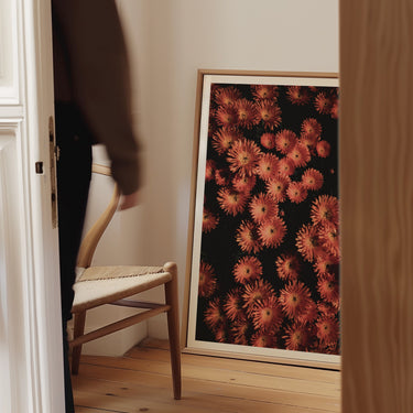 Petal Theory - Limited Edition