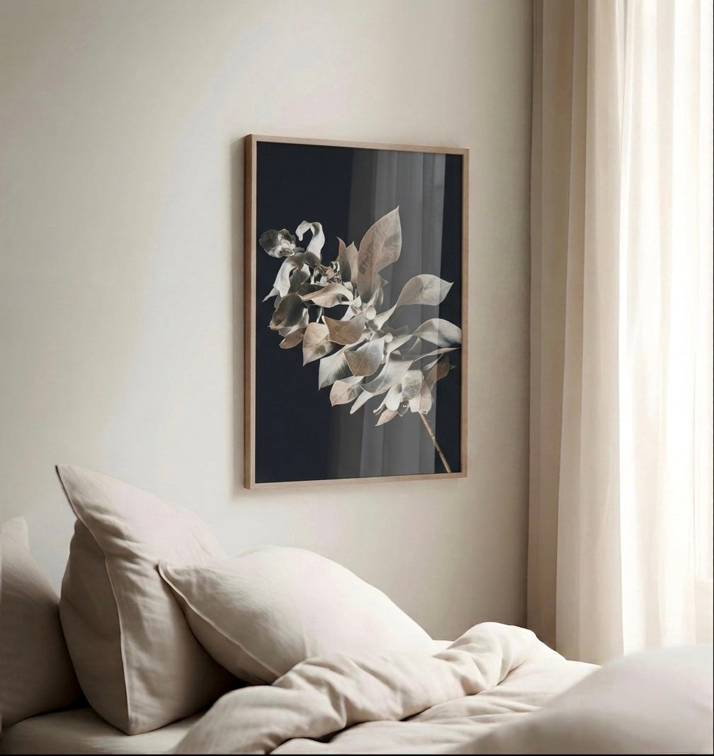 Macrocarpa Study - Limited Edition