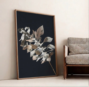 Macrocarpa Study - Limited Edition