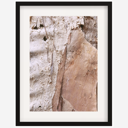 Paperbark Textures